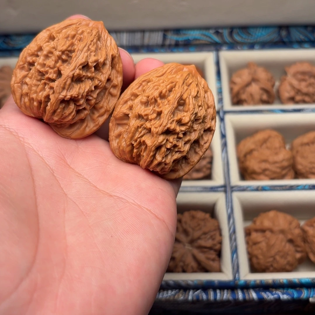 42全品麦穗虎头树尖对