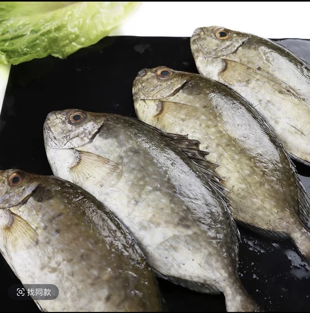 汕尾野生照灯泥猛鱼
