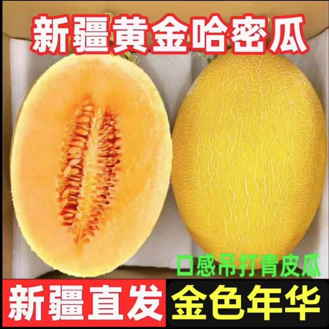【新疆金色年华】正宗吐鲁番火焰山哈密瓜脆甜多汁当季新鲜水果