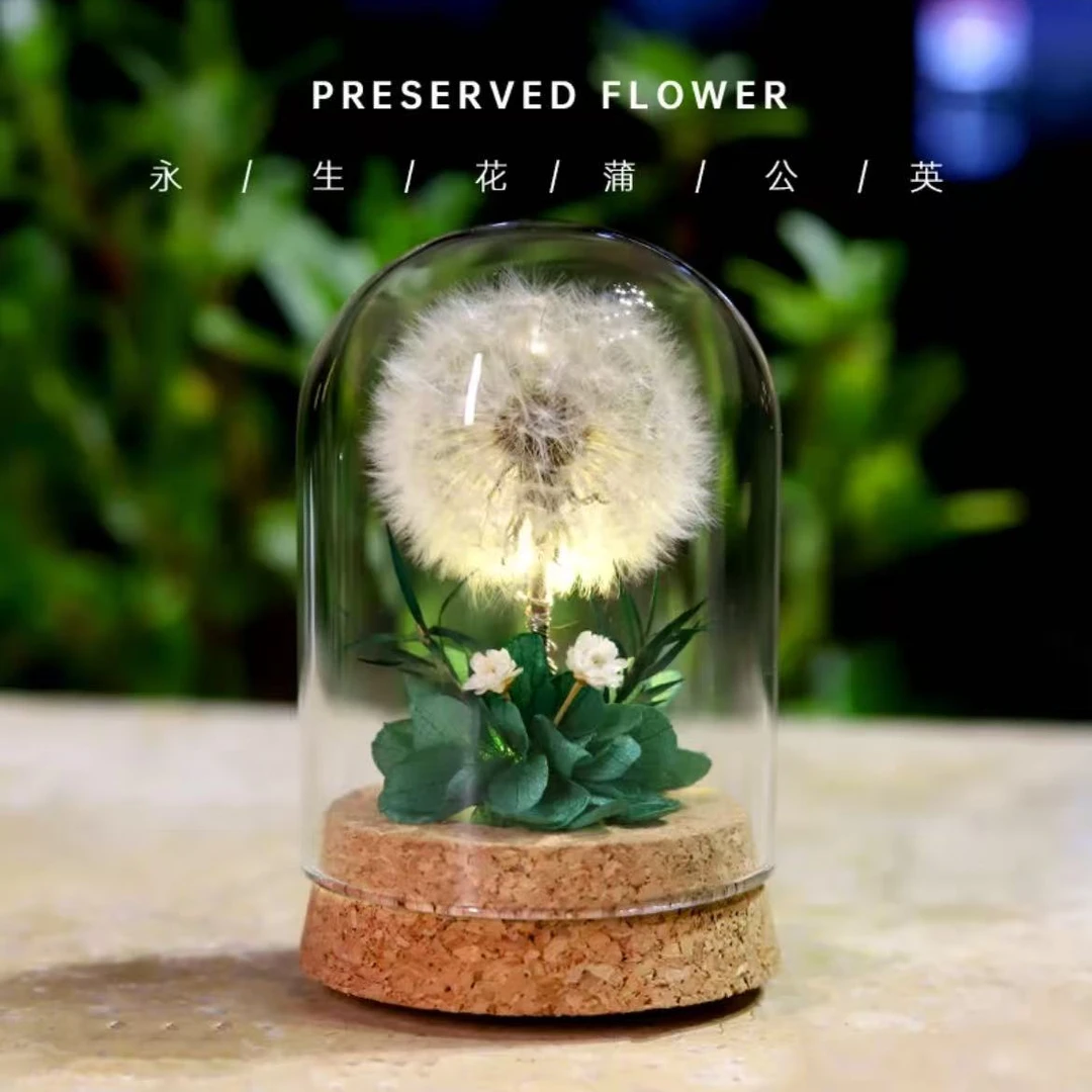 情人节520永生花蒲公英小夜灯摆件生日礼物女生送男朋友伴手礼