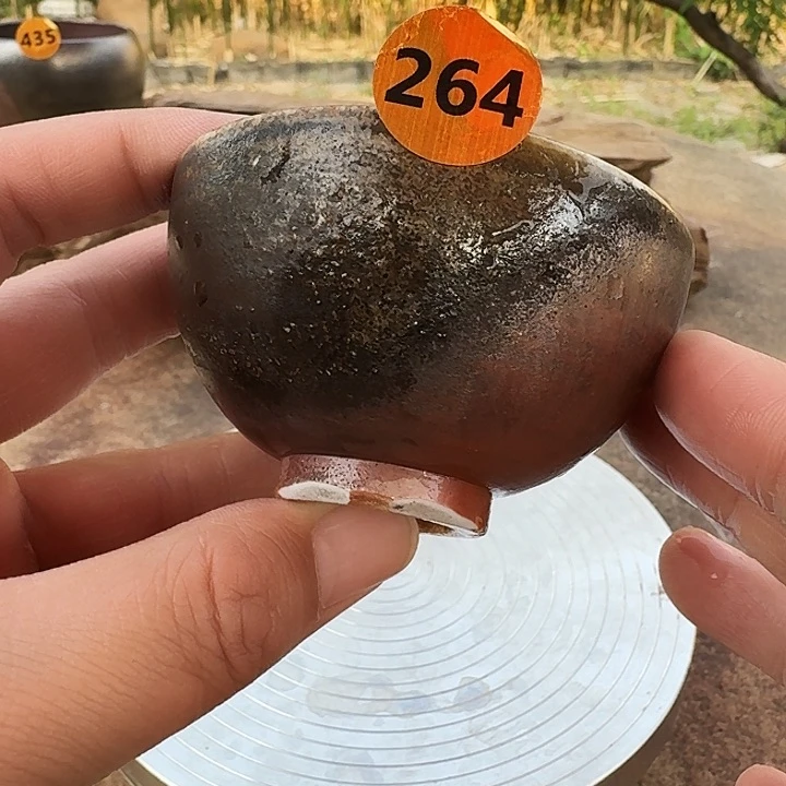 寂野柴烧菲杨直播间（264）号