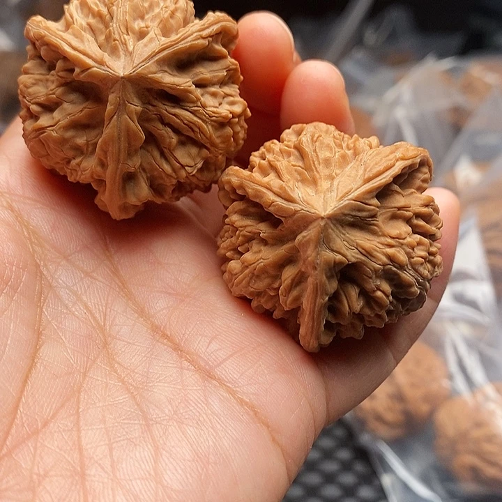 把件桃核御龙40尺