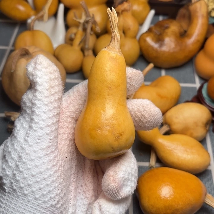 小***伴葫芦裂66666666666665