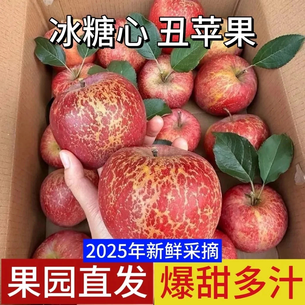 【产地直发】正宗昭通丑苹果冰糖心脆甜当季应季高原新鲜现摘原产