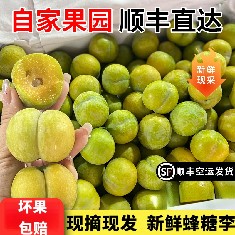 新鲜蜂糖李水果脆甜脱骨李应季多汁水果新鲜四川现摘现发顺丰包邮