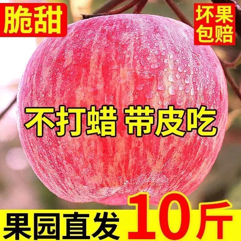 山东烟台红富士苹果带箱10斤新鲜脆甜多汁应季水果