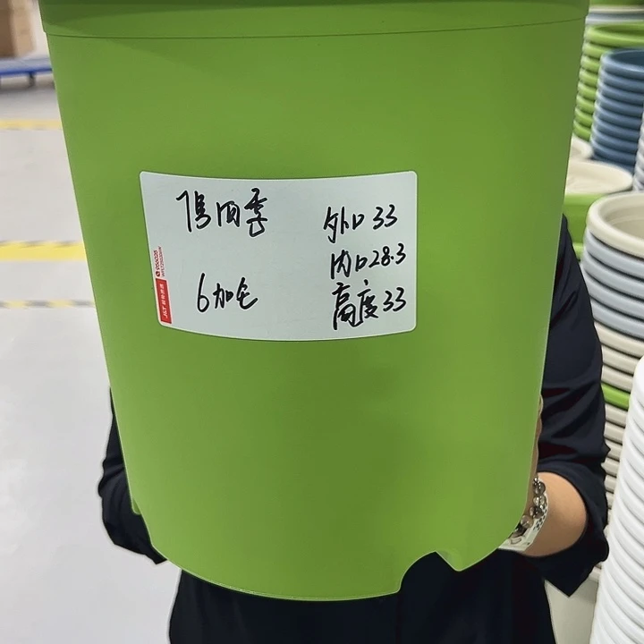 正品7号四季口33高33果绿无托6只