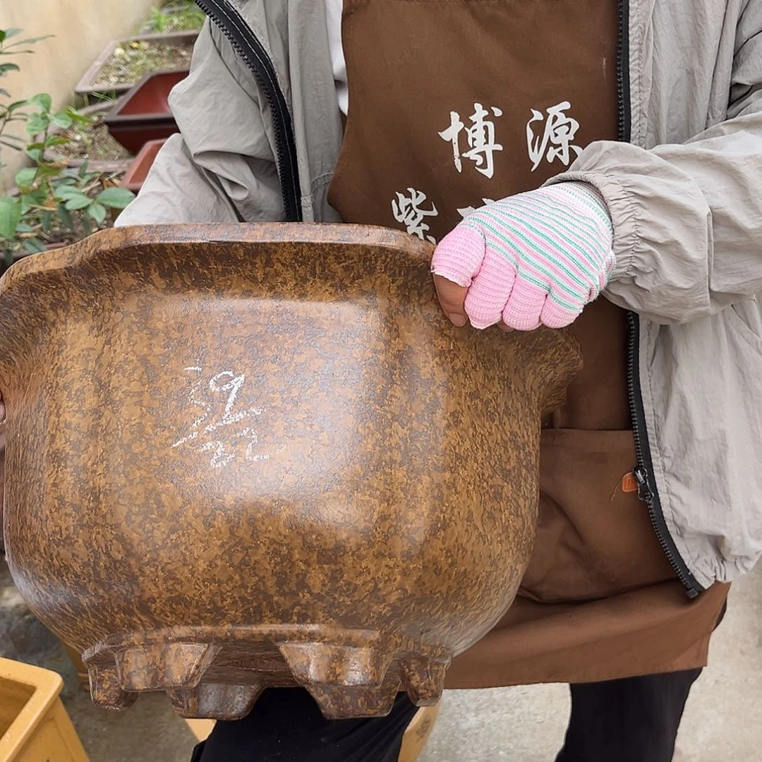 紫砂花盆盆景艺术