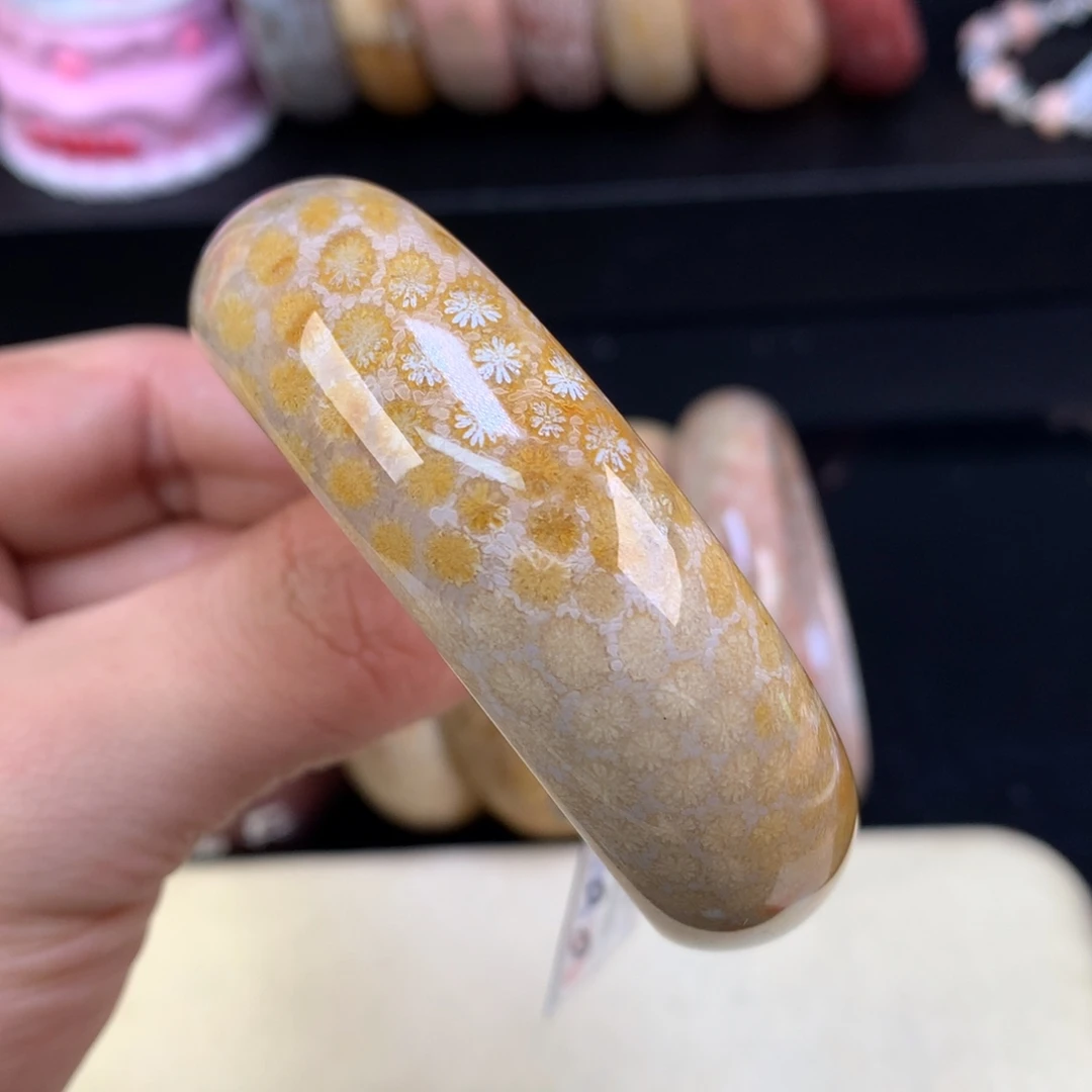 硅化珊瑚（珊瑚玉）未镶嵌颈饰84号54.5圈金雏菊