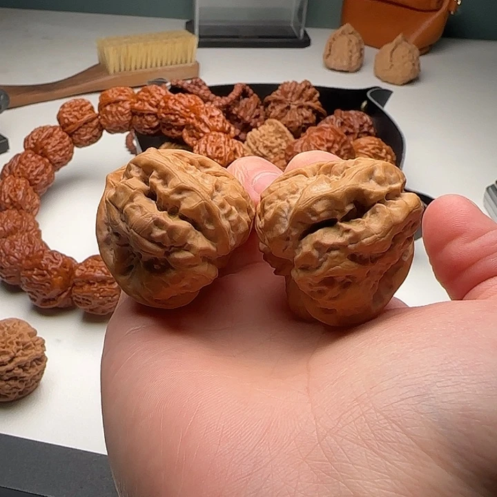 39-43-35肌肉蛙八腿四开背A29号