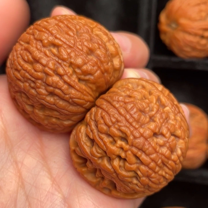 秦岭野生文玩核桃