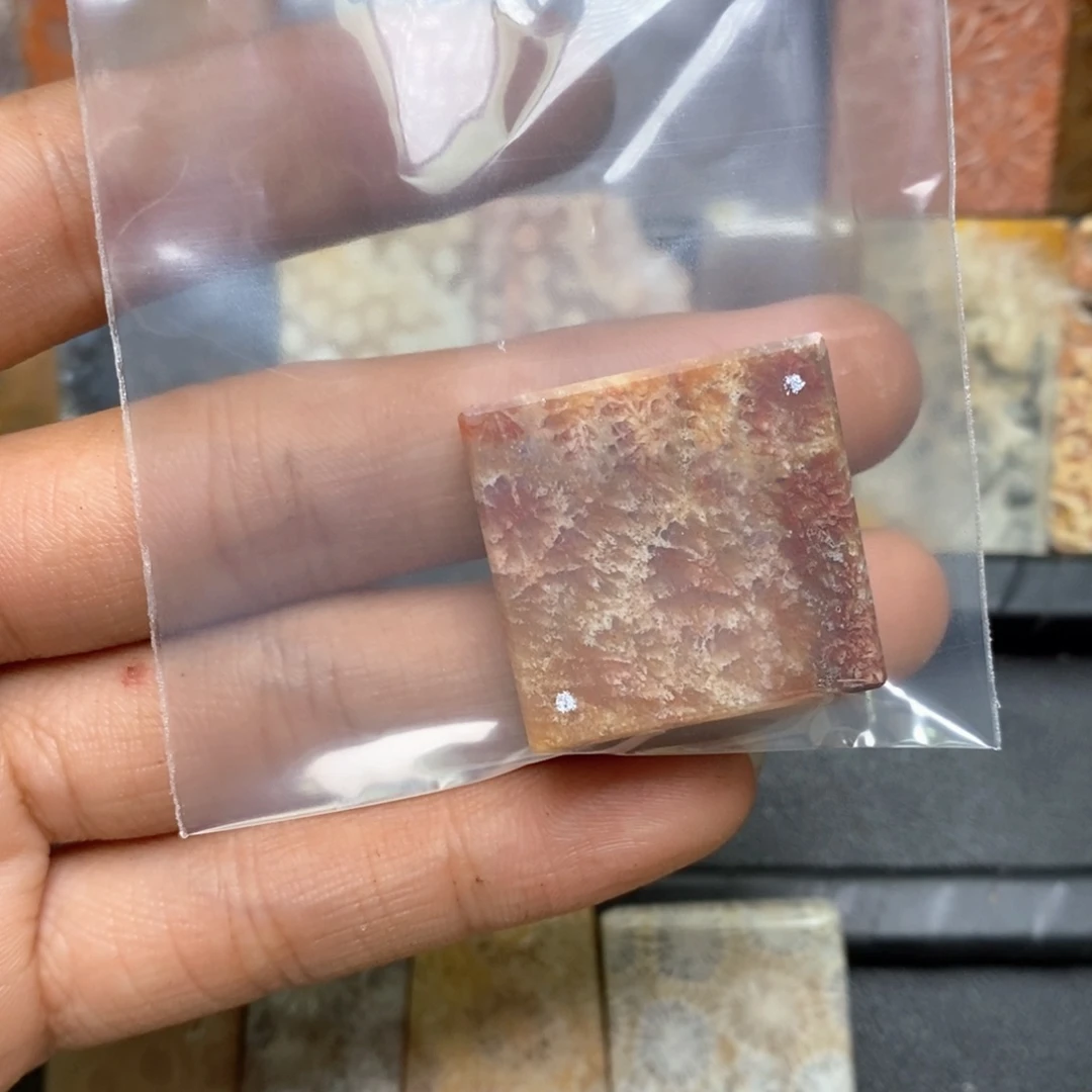 流***狗硅化珊瑚（珊瑚玉）未镶嵌颈饰