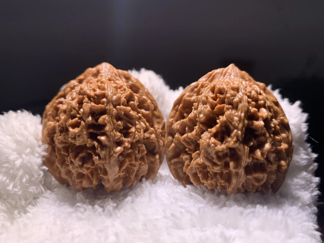 文玩核桃满天星狮子头