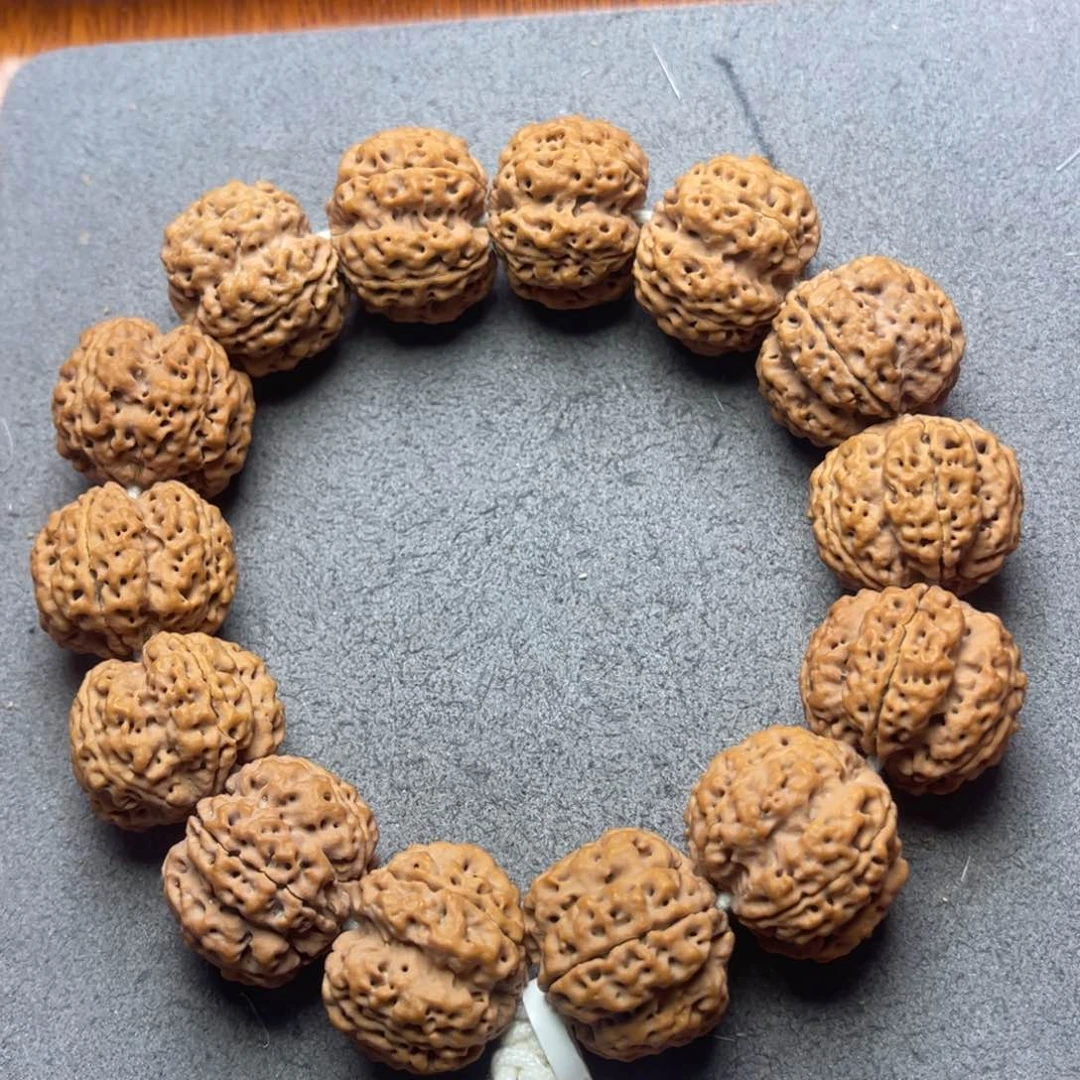 菩提7号金刚菩提深沟梅花23