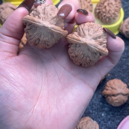 大叶紫檀（黑酸枝木类）3莲花