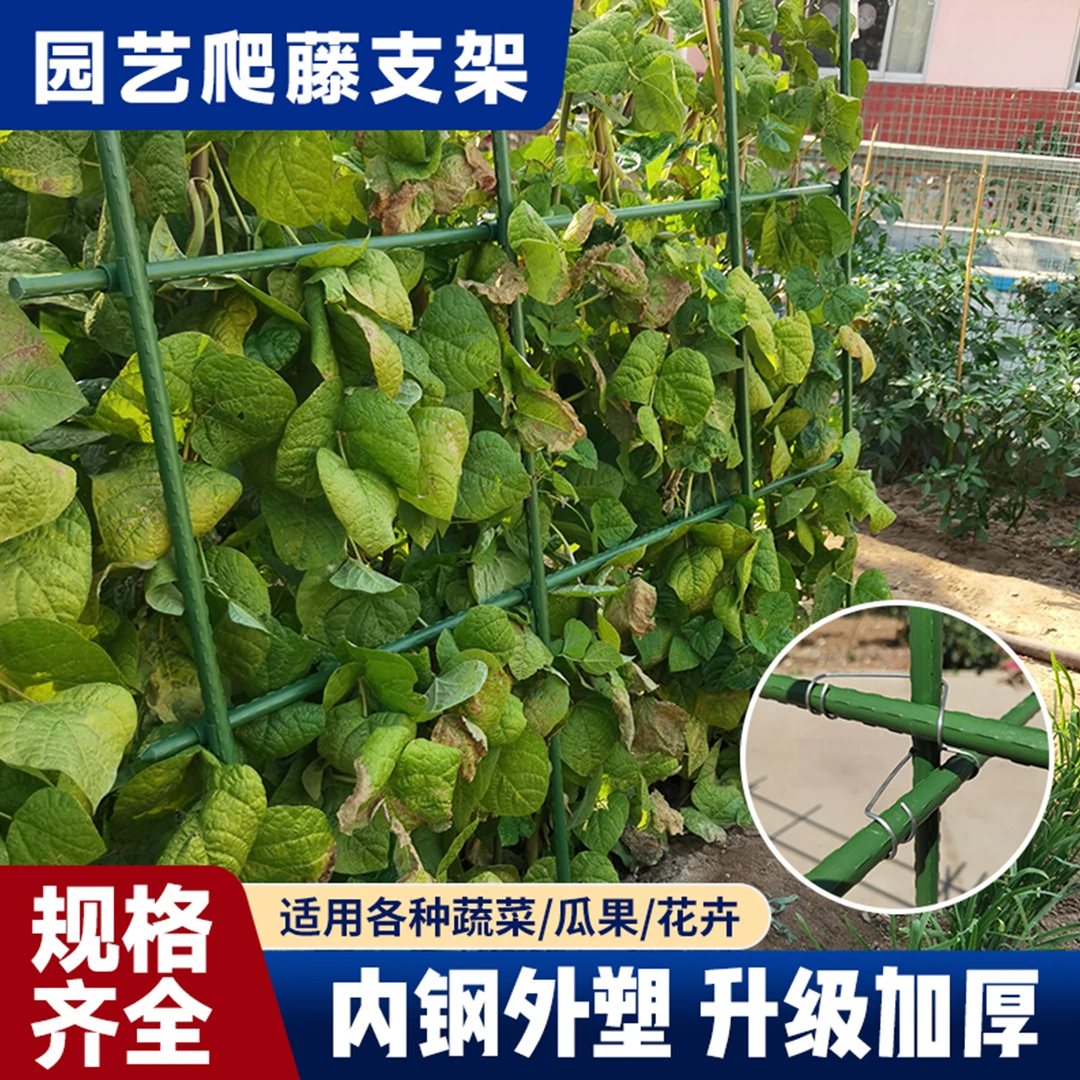 爬藤架瓜果蔬菜支撑杆户外庭院花架葡萄支架加厚加粗花杆包塑钢管