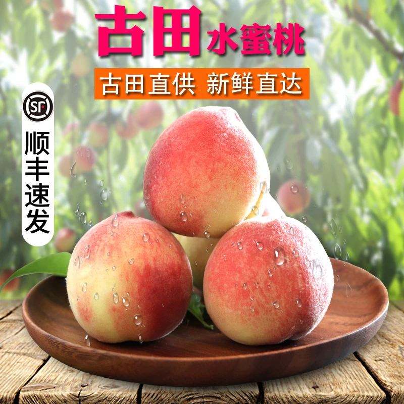 【顺丰】正宗福建古田水蜜桃子甜桃孕妇新鲜水果现摘现发5斤礼盒装