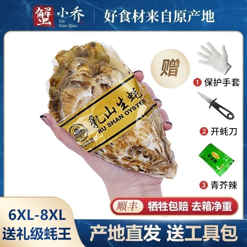 【8XL-6XL】乳山生蚝10斤黄金牡蛎海蛎子5-10斤包活（蚝王）