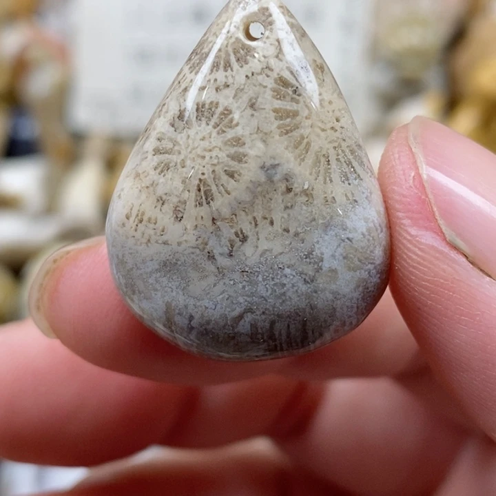 颈饰未镶嵌硅化珊瑚（珊瑚玉）小