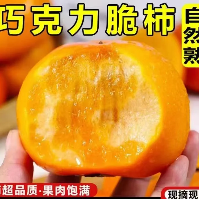 【坏果包赔】山西巧克力脆柿纯甜不涩口冰糖心柿子新鲜现摘现发当季