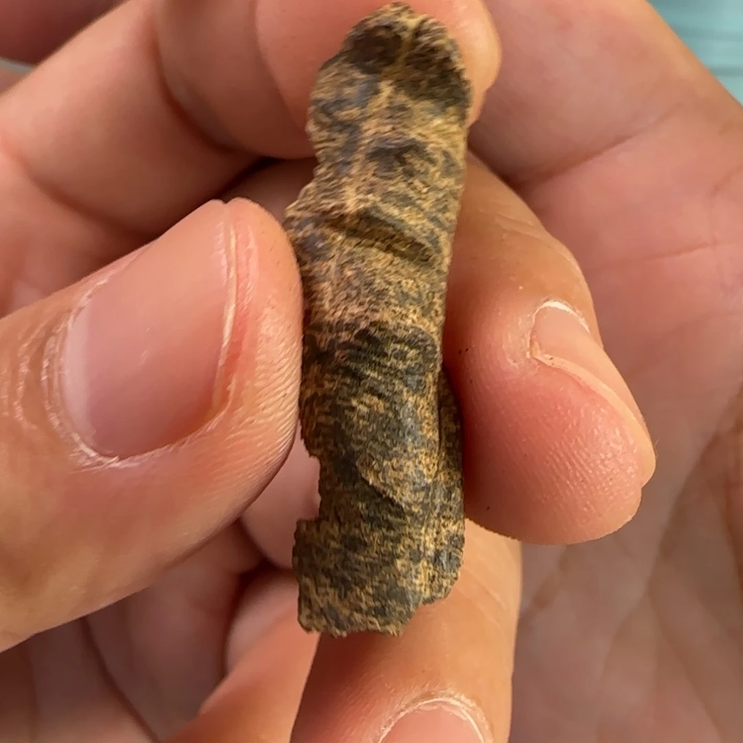 摆件沉香海南鸡母虫沉香料0.7克