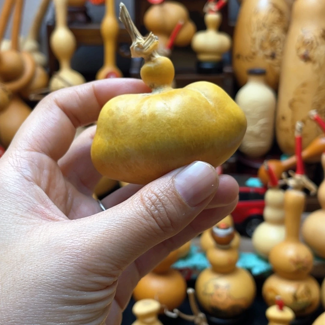 心*大自然的秘密第十一节你是