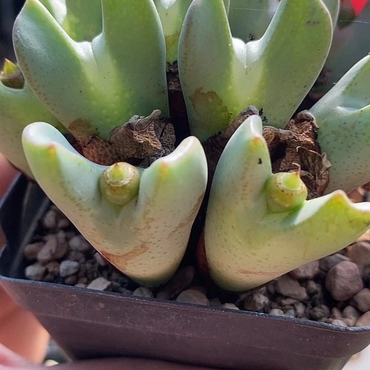 我***了这个时候还要什么钱2024