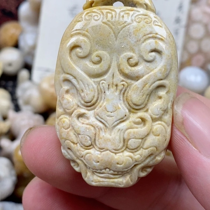 颈饰未镶嵌硅化珊瑚（珊瑚玉）