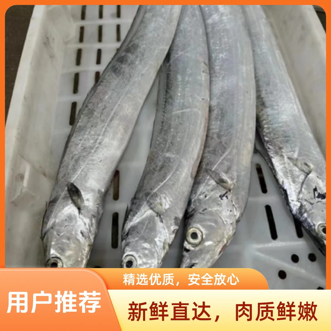 舟山钓带(粉糯口感 杀好请备注)99四斤