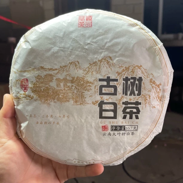 2024年坝卡白茶春尾 357克饼 2月13【44号】