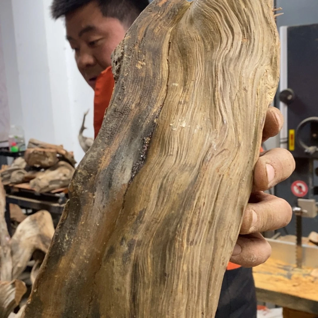 柏木?****?我们都是好孩子