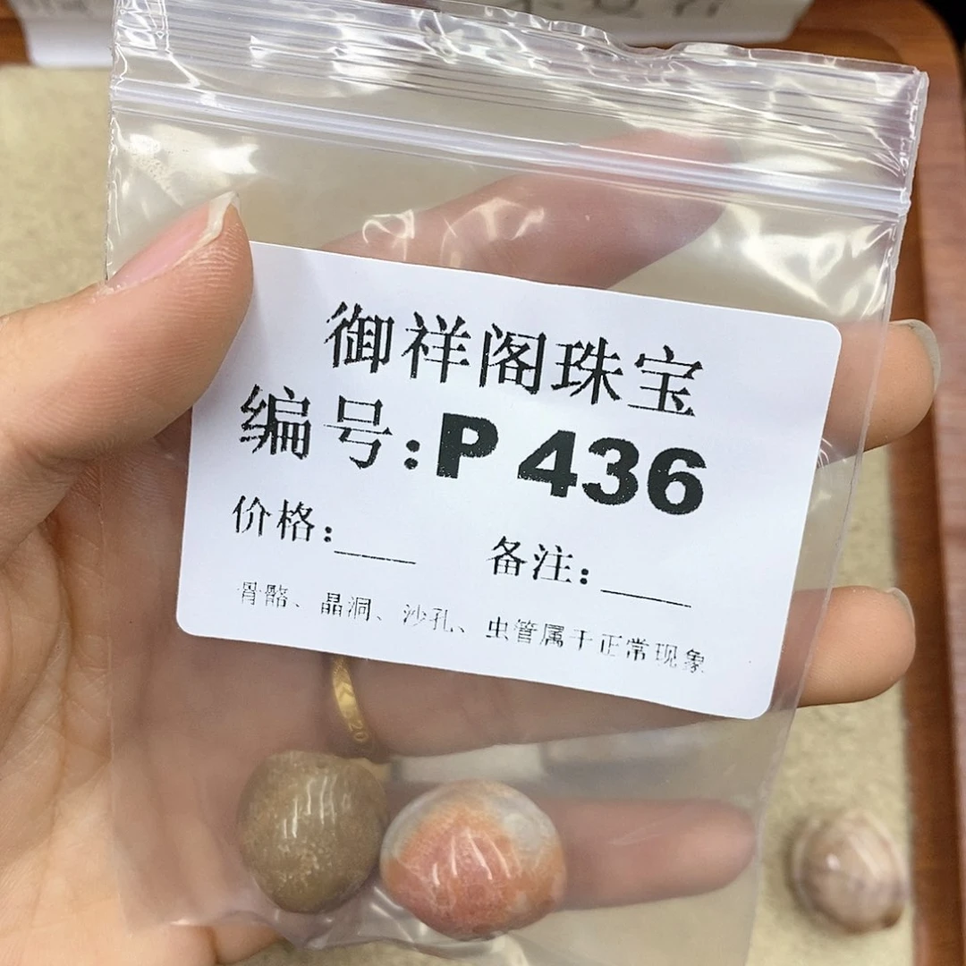 硅化珊瑚（珊瑚玉）P未镶嵌杪**三