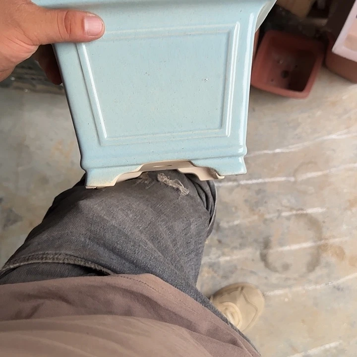 不能用你了就算啊还是想