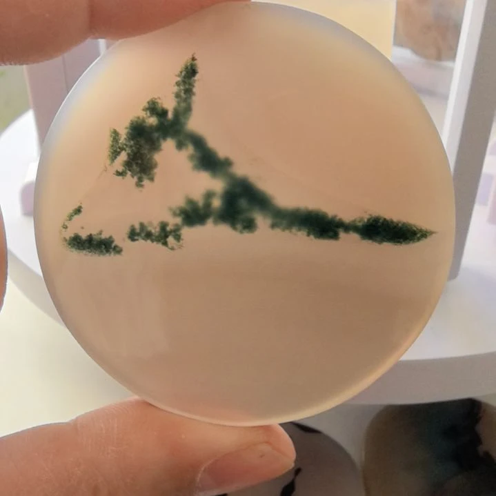 非金属时尚饰品82