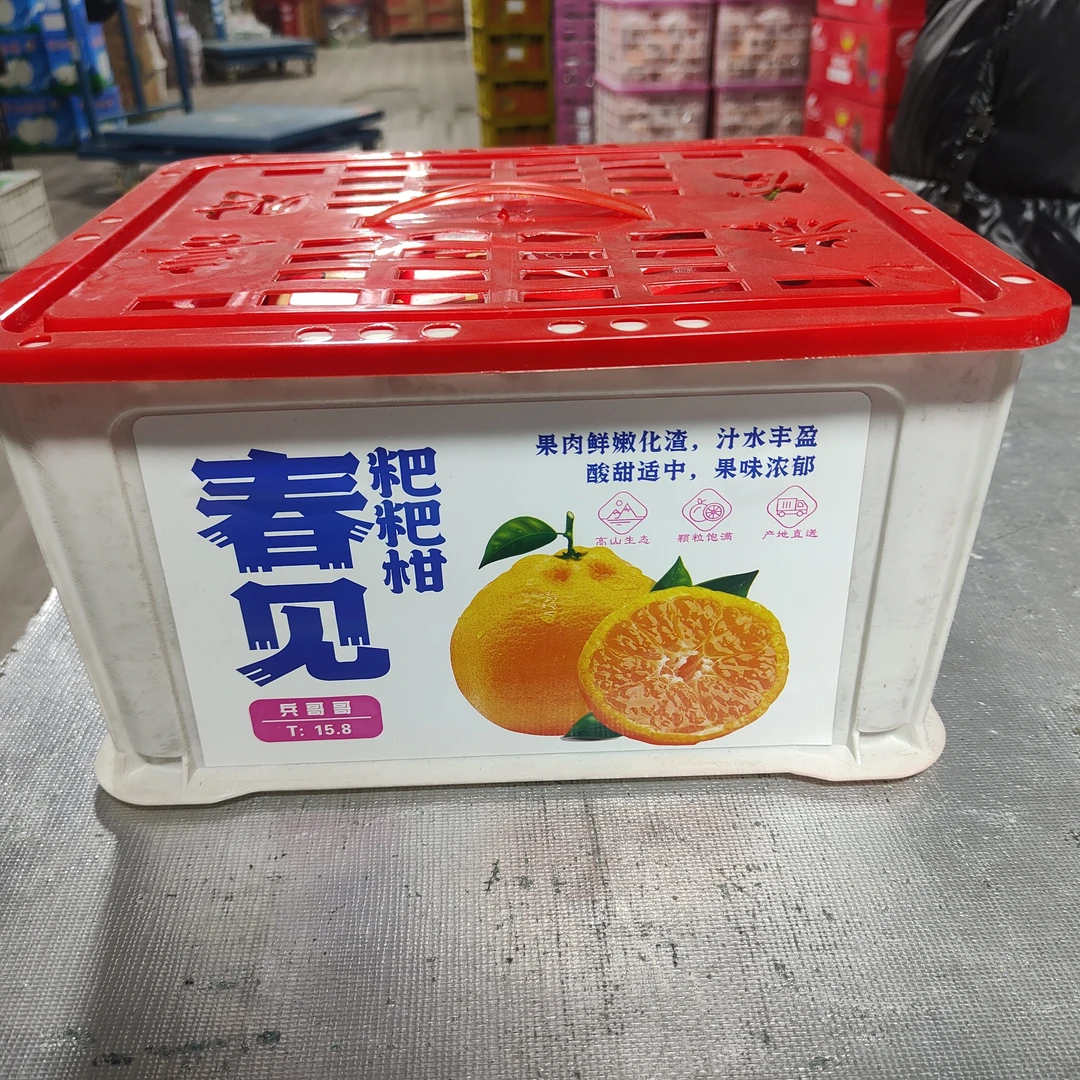 春见耙耙柑白框7斤42