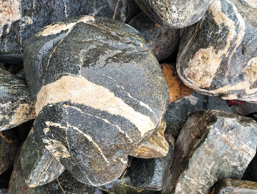 家居摆件，图片仅供参考，实拍为准。