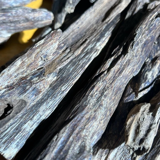 芽原料薰香原料好味道香薰香料