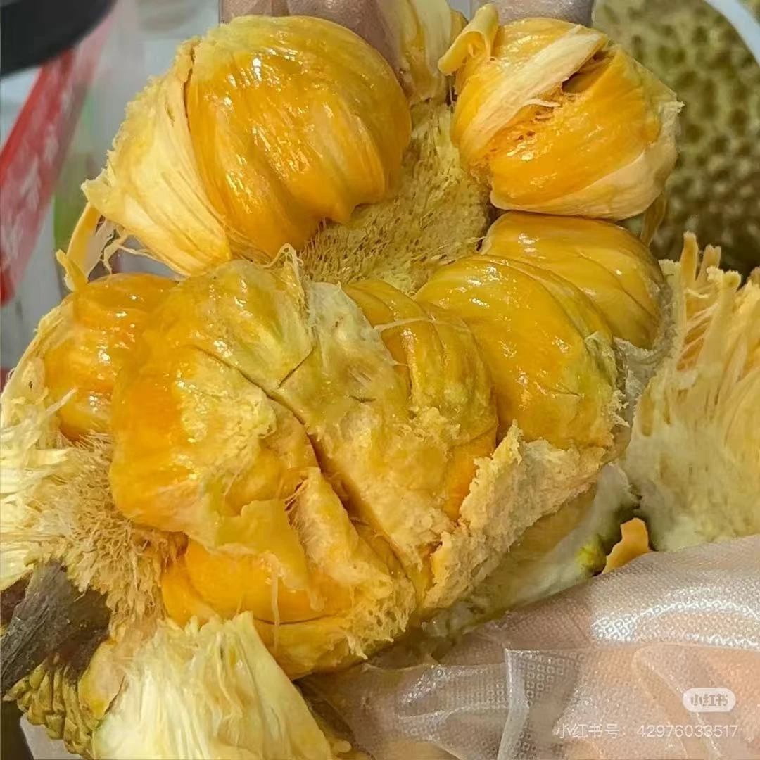 【2.8-3.5斤】海南榴莲菠萝蜜海南省
