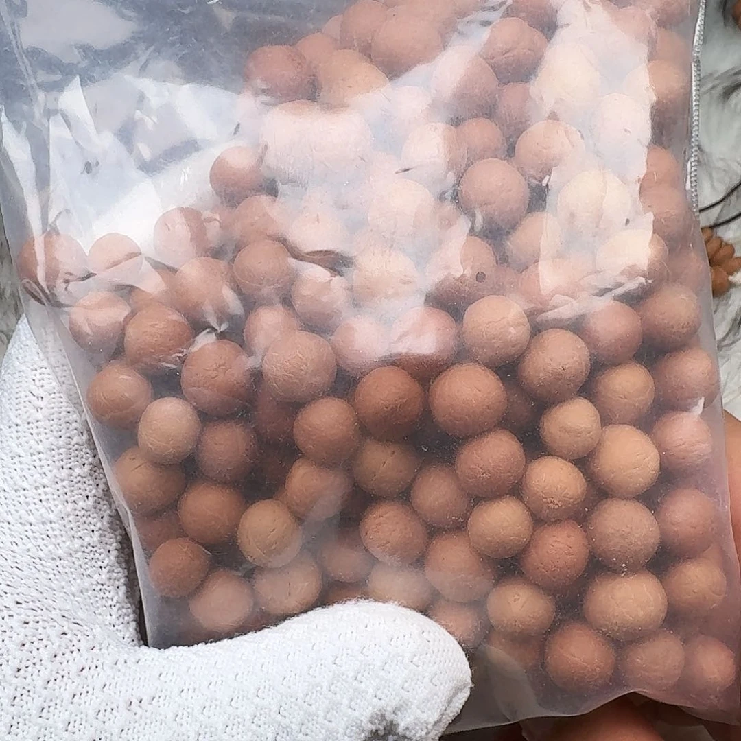 凤眼菩提手串球龙大