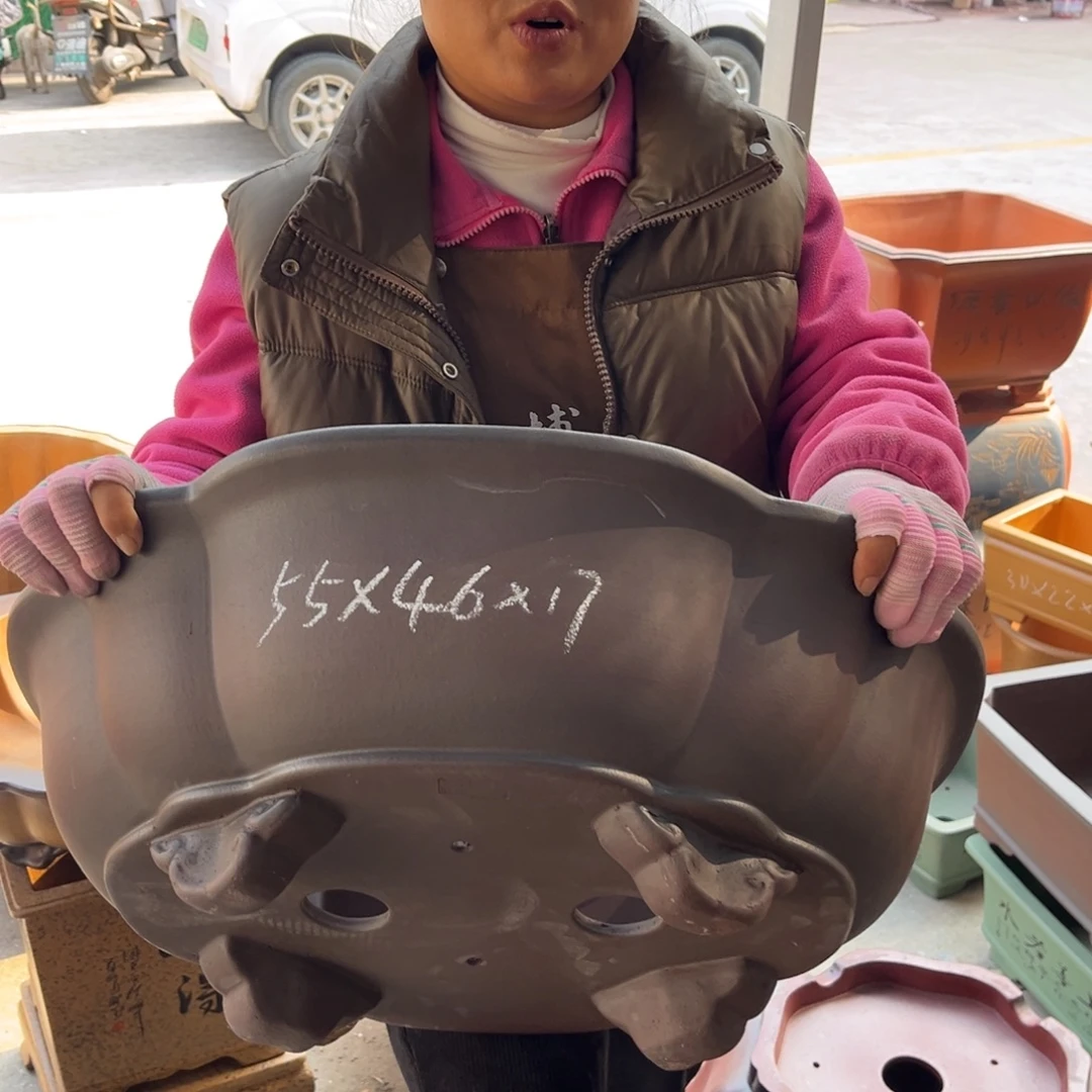 紫砂花盆盆景艺术