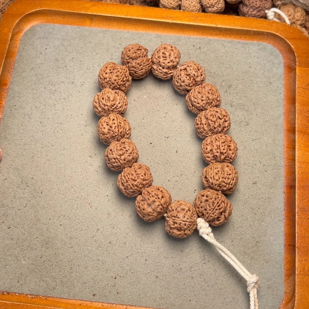 菩提20号金刚菩提梁梅花满肉21