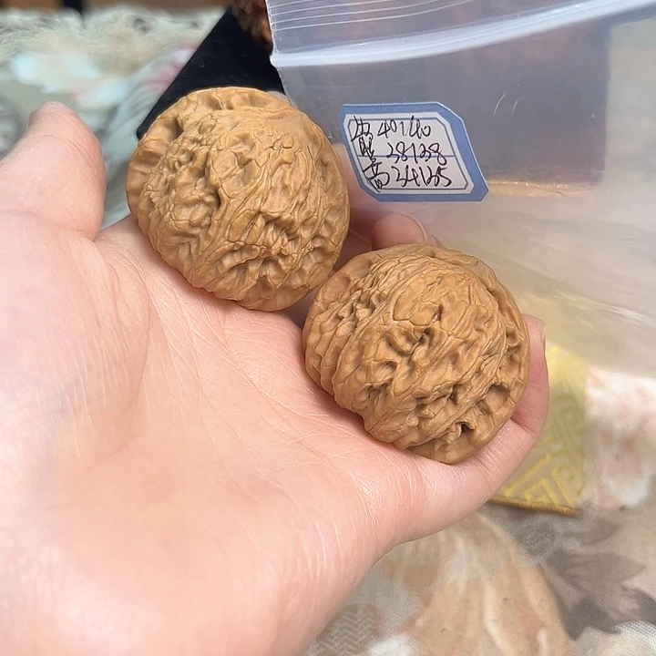 文玩核桃把件白狮子