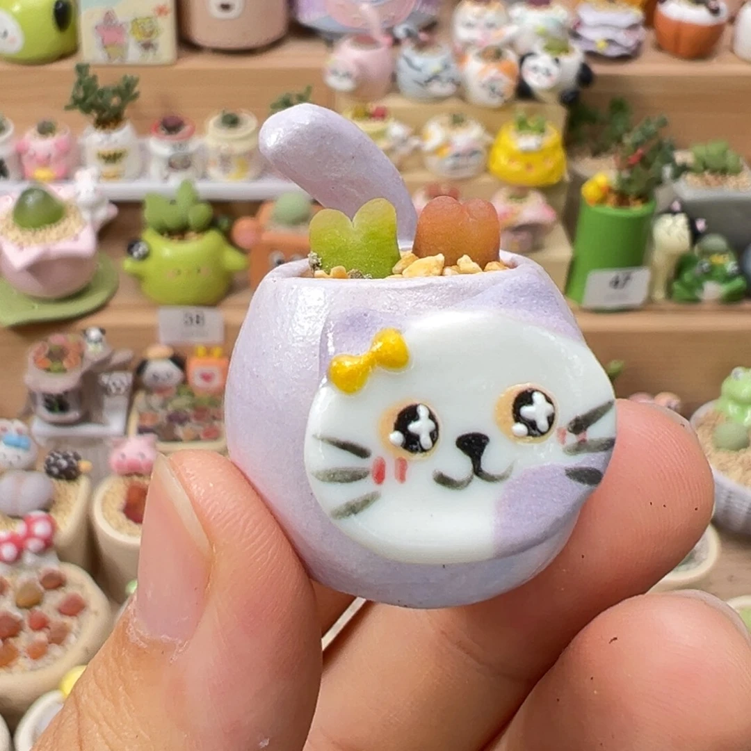 多肉植物68号拇指盆