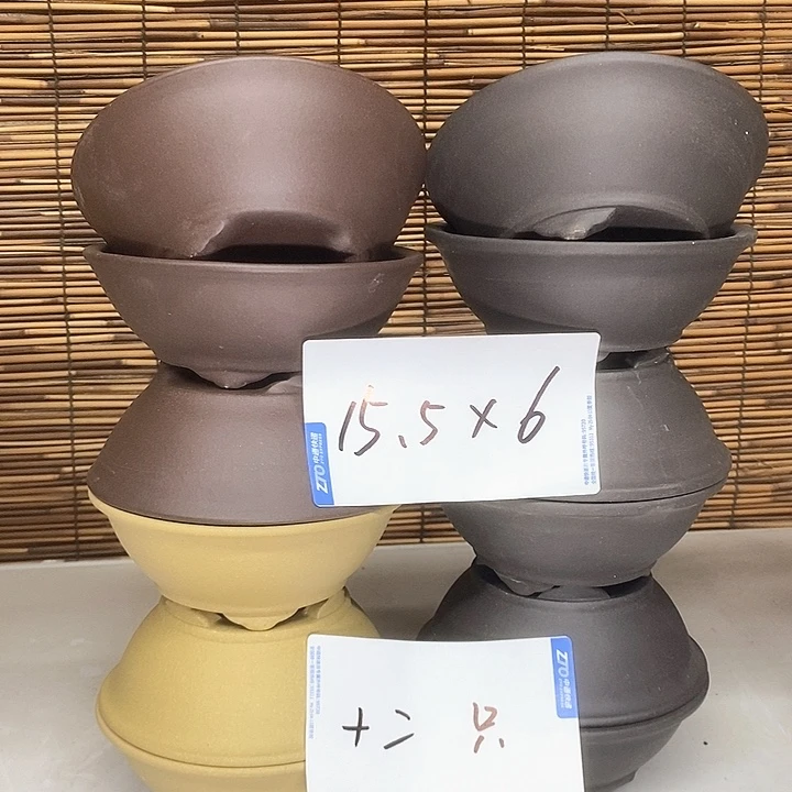 紫砂花盆我在外面