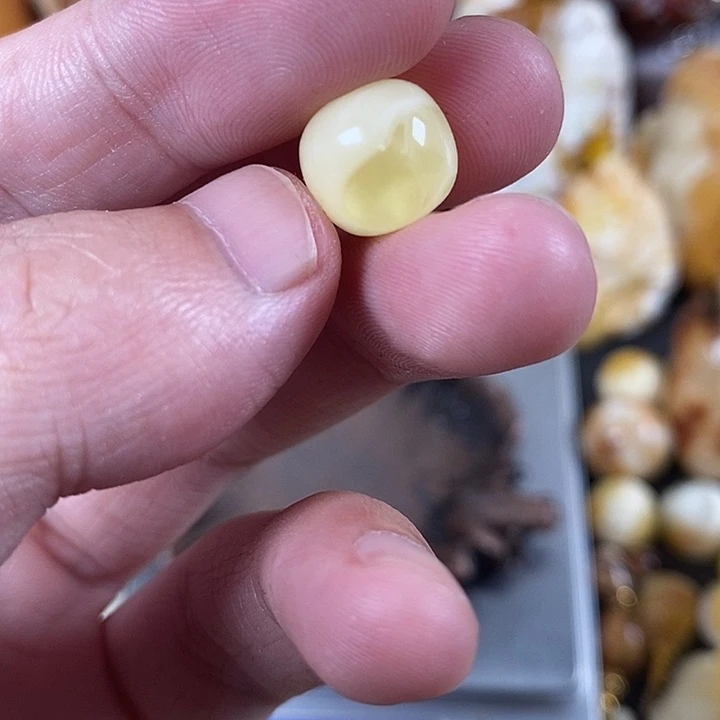 琥珀未镶嵌裸石我