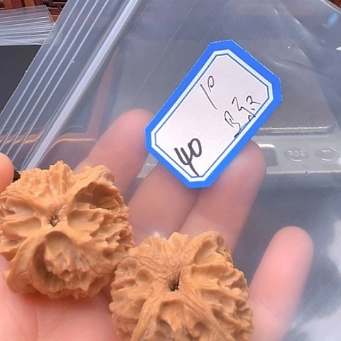 文玩核桃吊坠是**啊苹果
