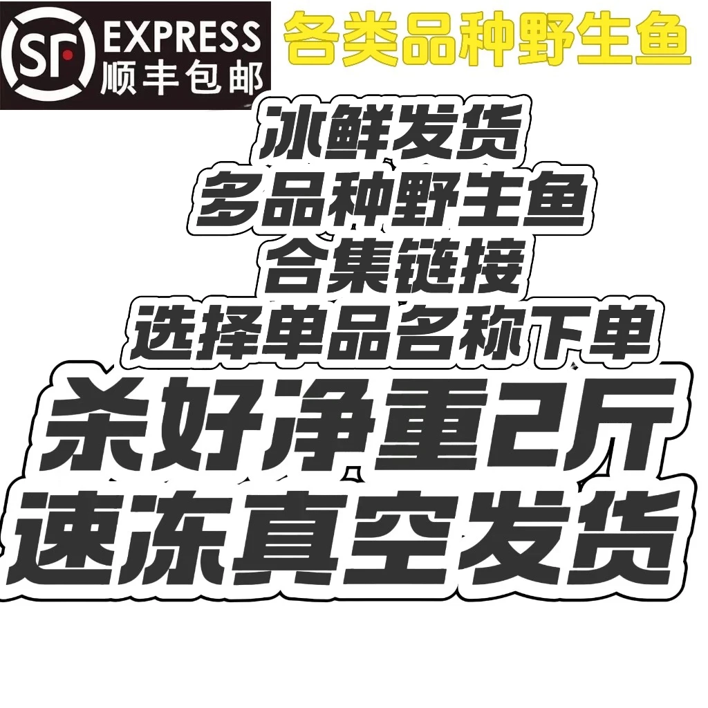 野生溪流鱼冰鲜发货单品汇总合集链接爬石鱼溪石斑马口红尾巴鱼等