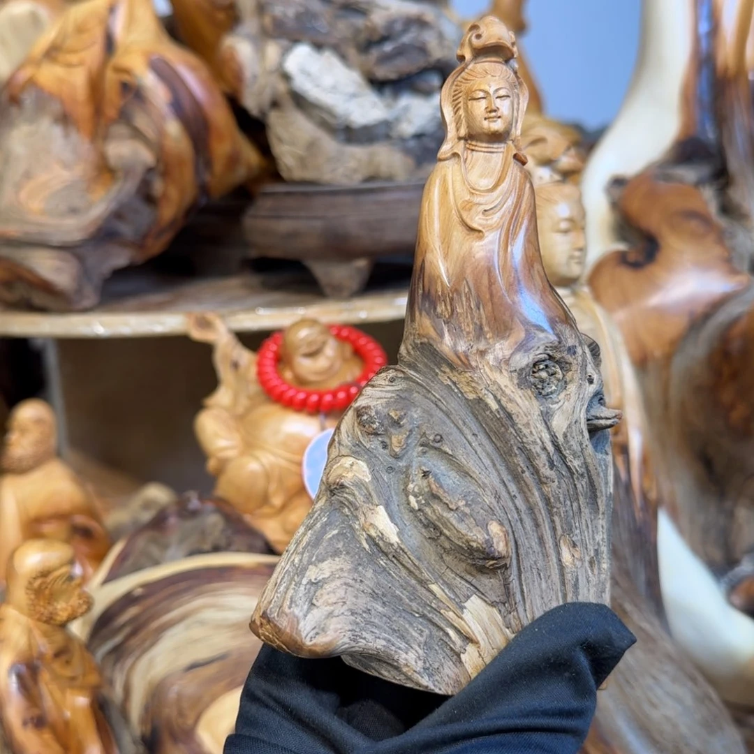 柏木（崖柏）6666666