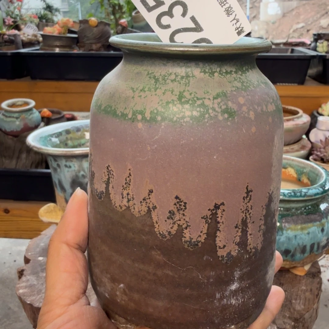 重庆小燕子欢迎大家235