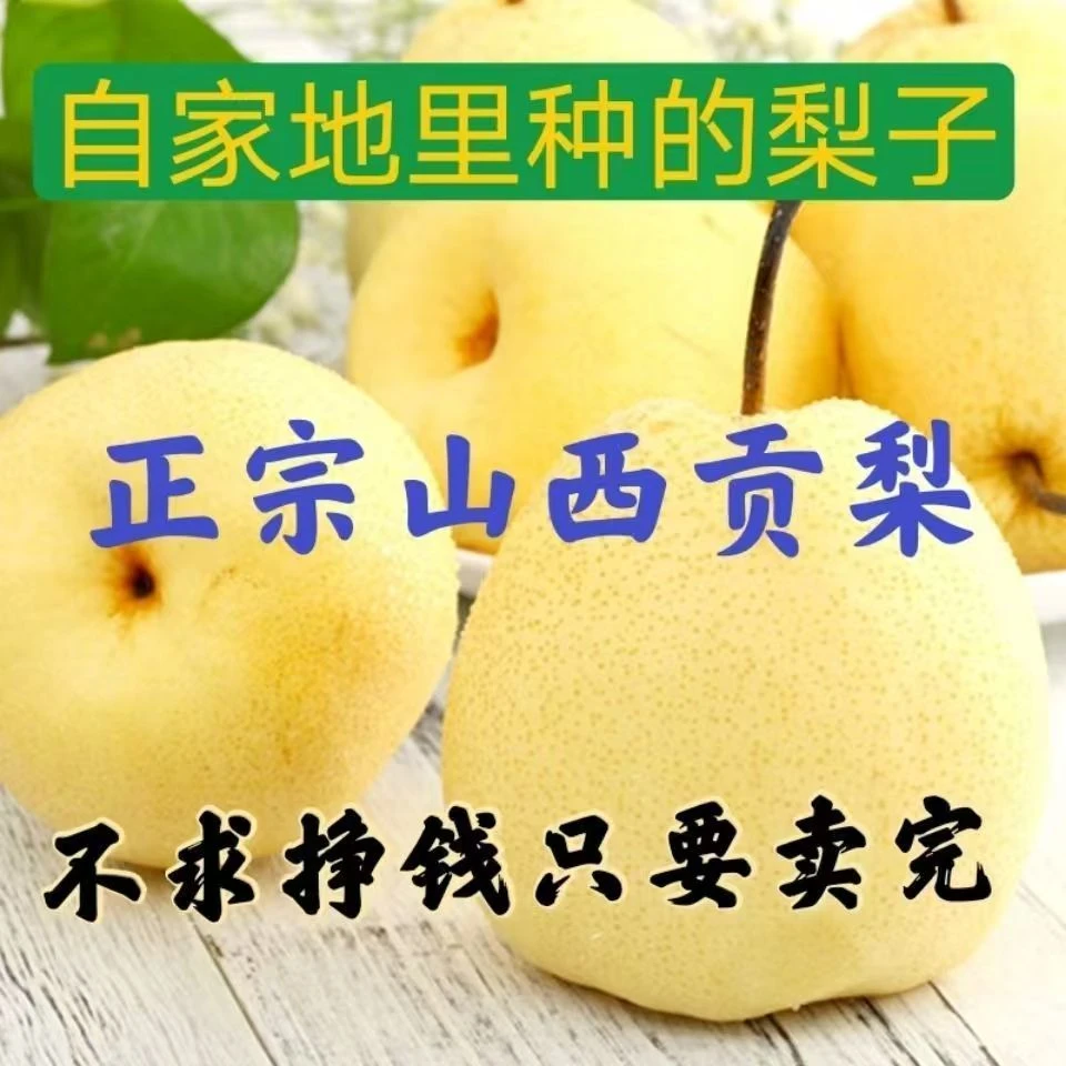 山西酥梨现摘新鲜水果皮薄多汁